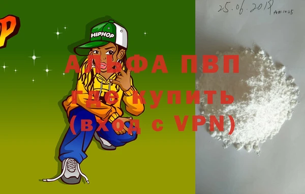 индика Алексин