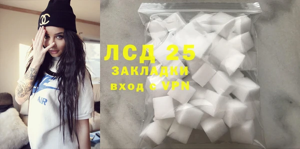индика Алексин
