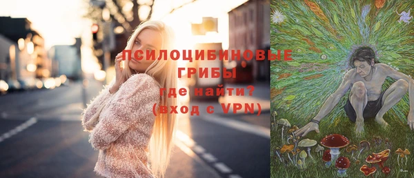 индика Алексин