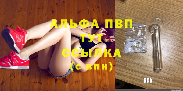 индика Алексин