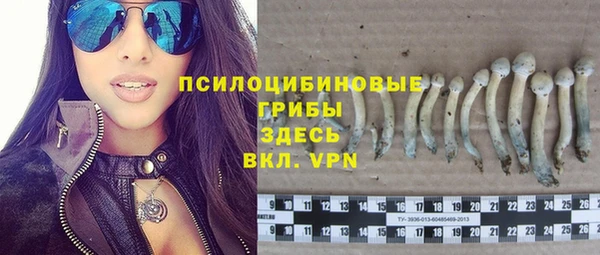 индика Алексин