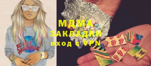 индика Алексин